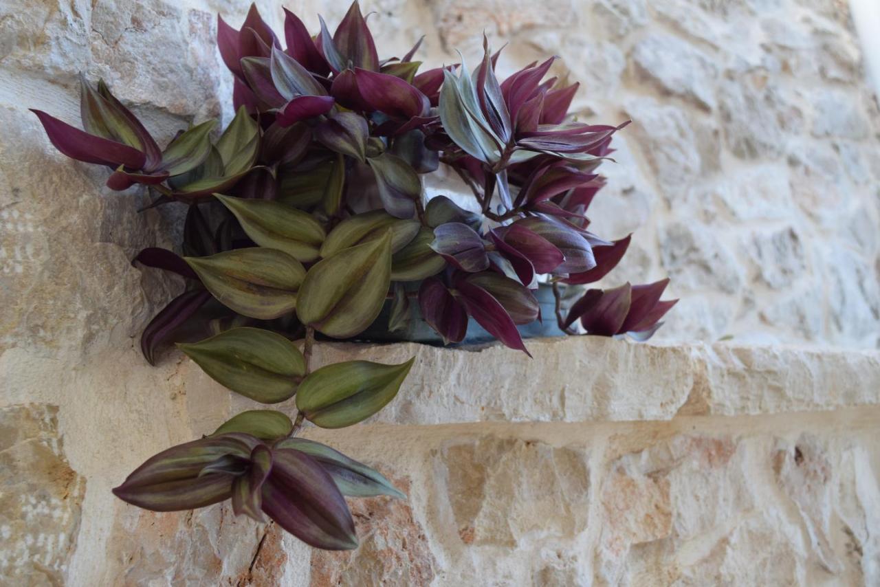 Dimore Storiche - Ulivo di Aldo Martina Franca Esterno foto