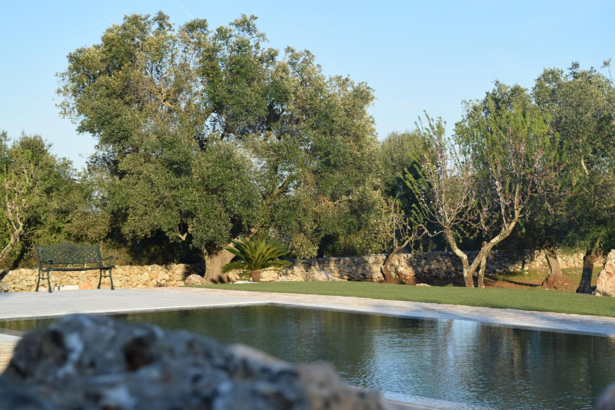 Dimore Storiche - Ulivo di Aldo Martina Franca Esterno foto