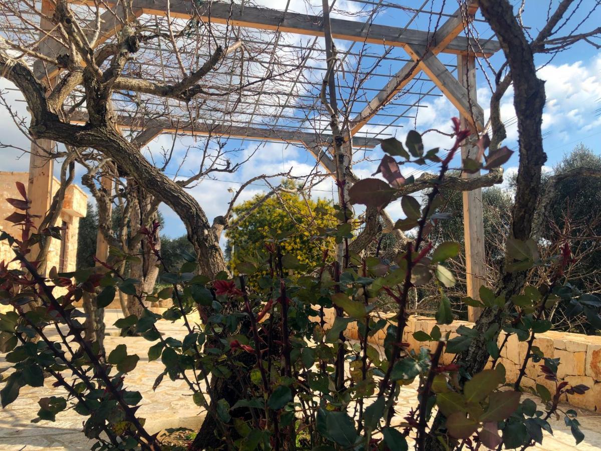 Dimore Storiche - Ulivo di Aldo Martina Franca Esterno foto