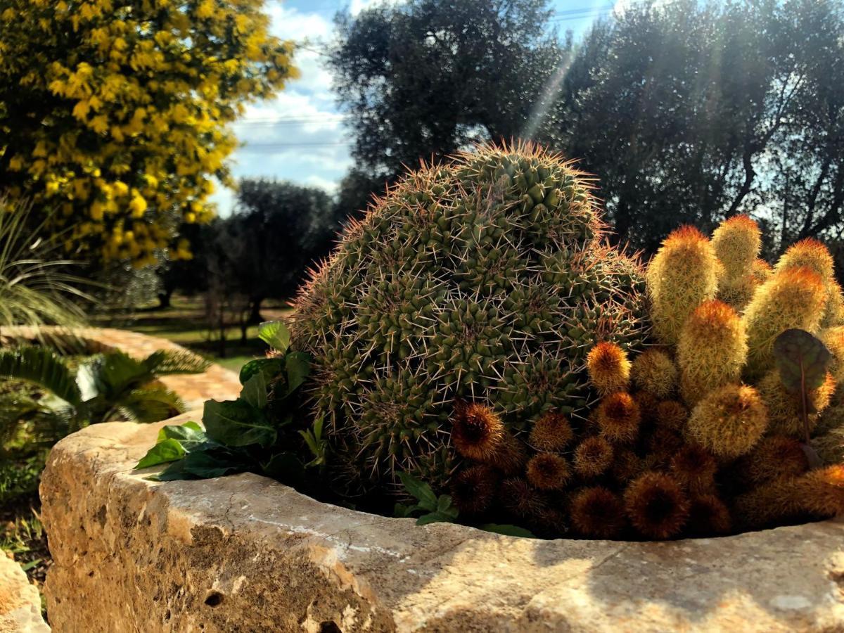 Dimore Storiche - Ulivo di Aldo Martina Franca Esterno foto