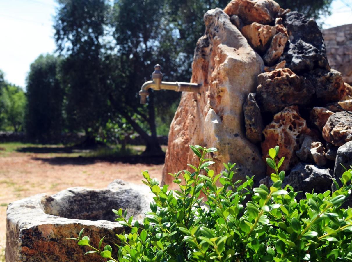 Dimore Storiche - Ulivo di Aldo Martina Franca Esterno foto